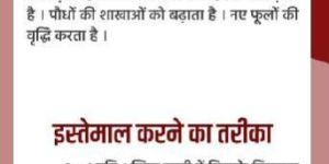 Arjun Micronutrients