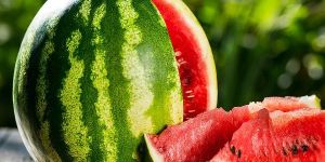 Organic Watermelon