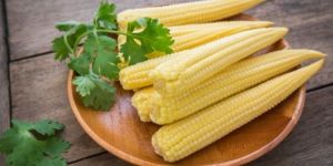 Frozen Baby Corn