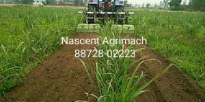 Sugarcane Rotary Weeder