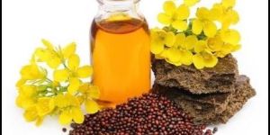 Black Mustard Seed Oil
