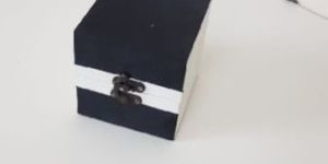 Premium Watch Box