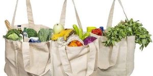 Grocery Shopping Bags