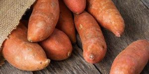 Fresh Sweet Potato