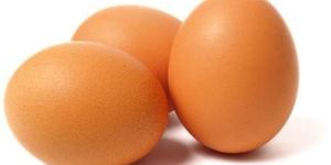 Poultry Eggs