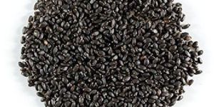 Small Tukmaria Seeds