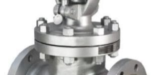 Globe Valve