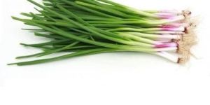 Fresh Spring Onion