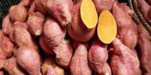 Fresh Sweet Potato