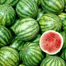Fresh Watermelon