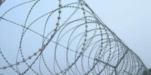 Galvanised Concertina Wire