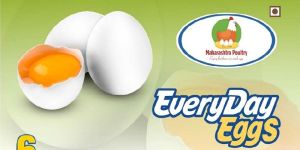 Everyday Eggs