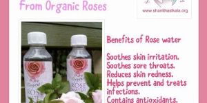 Organic Rose Water