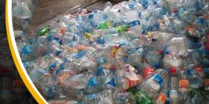 Crushed Pet Bottle Scrap