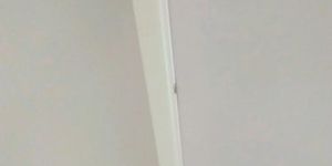 Alasika LED Tube Light