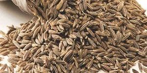 Raw Cumin Seeds