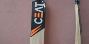 Poplar Willow Cricket Bat