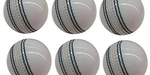 White Leather Cricket Ball