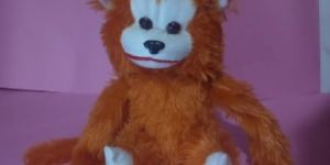 Monkey Soft Toy