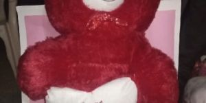 Red Teddy Bear Soft Toy