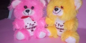 Teddy Bear Soft Toy Set