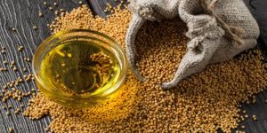 Mustard Oil