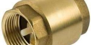 Vertical Non Return Valve