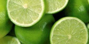 Seedless Lemon Plant