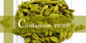 Cardamom Seeds