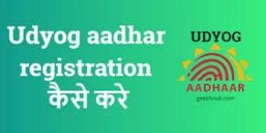 Udyog Aadhaar Registration Service