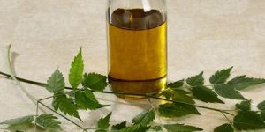 Neem Liquid Extract
