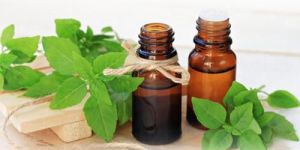 Tulsi Liquid Extract