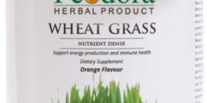 Wheat Grass Powder