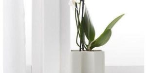 Self Watering Plants Pot