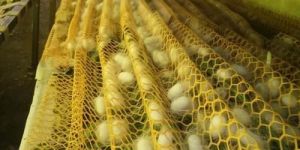 RIC Yellow Plastic Mountages Net