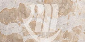 Fossil Beige Marble
