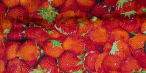 Digitally Printed Velvet