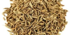 Cumin Seed