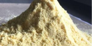 Corn Flour Organic