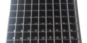 Seedling Tray