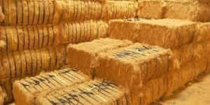 Coir Fiber Bales
