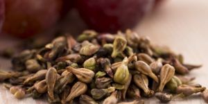Grape Seeds