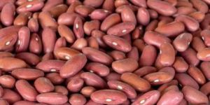 Red Kidney Beans
