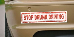 Printed Bumper Sticker
