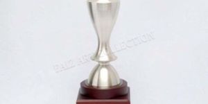 Silver Sport Trophy
