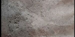 Green Coffee Bean Extract Powder