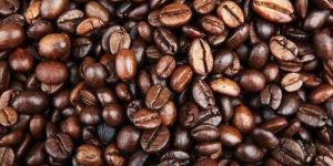 Organic Coffee Beans