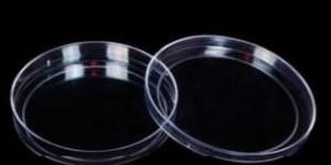 Petri Dish