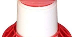 Feeding Chicken Poultry Feeder