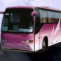 Car & Coach Rental Services